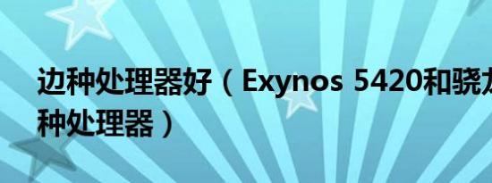 边种处理器好（Exynos 5420和骁龙800两种处理器）