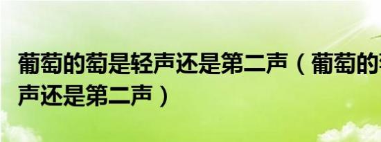 葡萄的萄是轻声还是第二声（葡萄的萄是读轻声还是第二声）