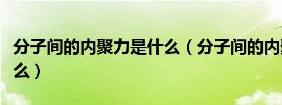 分子间的内聚力是什么（分子间的内聚力是什么）