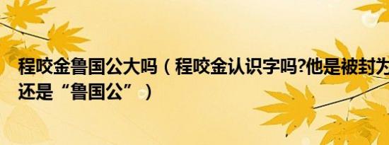 程咬金鲁国公大吗（程咬金认识字吗?他是被封为“卢国公”还是“鲁国公”）