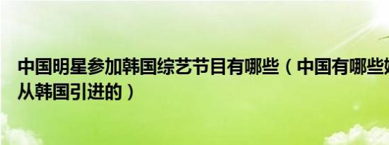 中国明星参加韩国综艺节目有哪些（中国有哪些娱乐节目是从韩国引进的）