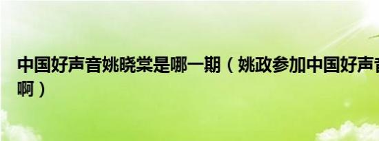 中国好声音姚晓棠是哪一期（姚政参加中国好声音是哪一期啊）