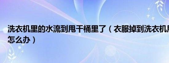 洗衣机里的水流到甩干桶里了（衣服掉到洗衣机甩干桶缝里怎么办）