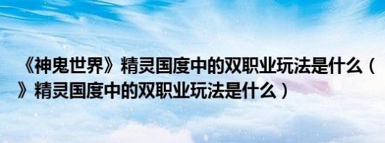 《神鬼世界》精灵国度中的双职业玩法是什么（《神鬼世界》精灵国度中的双职业玩法是什么）