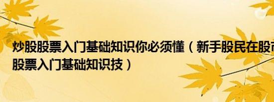 炒股股票入门基础知识你必须懂（新手股民在股市中怎样炒股票入门基础知识技）