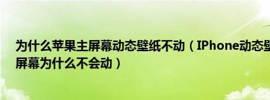 为什么苹果主屏幕动态壁纸不动（IPhone动态壁纸设置主屏幕为什么不会动）