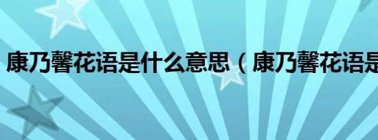 康乃馨花语是什么意思（康乃馨花语是什么）