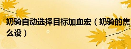 奶骑自动选择目标加血宏（奶骑的焦点宏该怎么设）