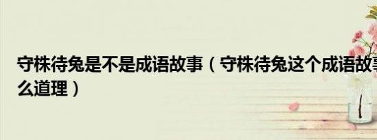 守株待兔是不是成语故事（守株待兔这个成语故事说明了什么道理）