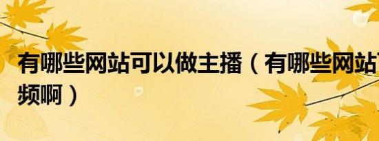 有哪些网站可以做主播（有哪些网站可以做视频啊）