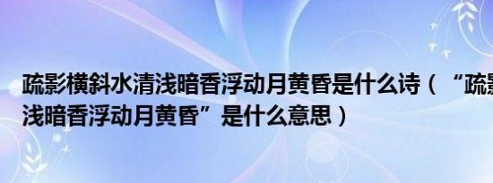 疏影横斜水清浅暗香浮动月黄昏是什么诗（“疏影横斜水清浅暗香浮动月黄昏”是什么意思）