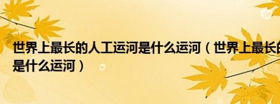 世界上最长的人工运河是什么运河（世界上最长的人工运河是什么运河）