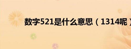 数字521是什么意思（1314呢）