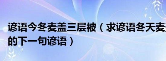 谚语今冬麦盖三层被（求谚语冬天麦盖三层被的下一句谚语）