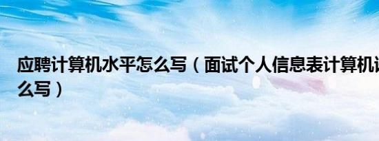 应聘计算机水平怎么写（面试个人信息表计算机语言水平怎么写）