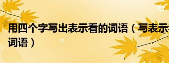 用四个字写出表示看的词语（写表示看的四字词语）