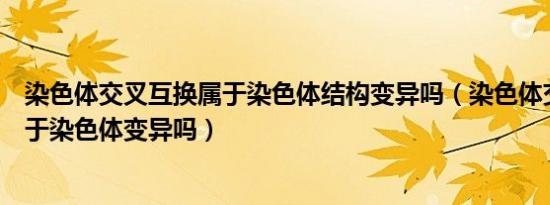 染色体交叉互换属于染色体结构变异吗（染色体交叉互换属于染色体变异吗）