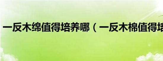 一反木绵值得培养哪（一反木棉值得培养吗）