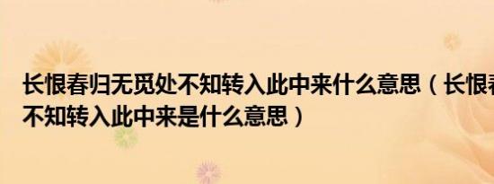 长恨春归无觅处不知转入此中来什么意思（长恨春归无觅处不知转入此中来是什么意思）