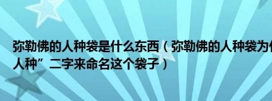 弥勒佛的人种袋是什么东西（弥勒佛的人种袋为什么是取“人种”二字来命名这个袋子）