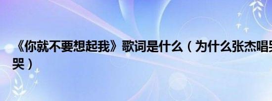 《你就不要想起我》歌词是什么（为什么张杰唱哭、维嘉听哭）