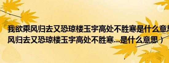 我欲乘风归去又恐琼楼玉宇高处不胜寒是什么意思（我欲乘风归去又恐琼楼玉宇高处不胜寒...是什么意思）