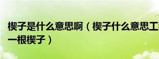 楔子是什么意思啊（楔子什么意思工程师拿出一根楔子）