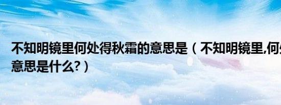 不知明镜里何处得秋霜的意思是（不知明镜里,何处得秋霜的意思是什么?）