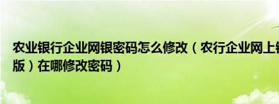 农业银行企业网银密码怎么修改（农行企业网上银行（企业版）在哪修改密码）