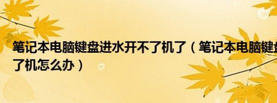 笔记本电脑键盘进水开不了机了（笔记本电脑键盘进水开不了机怎么办）