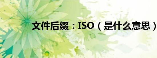 文件后缀：ISO（是什么意思）