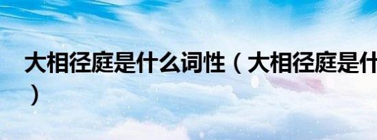 大相径庭是什么词性（大相径庭是什么意思?）