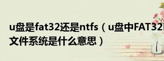 u盘是fat32还是ntfs（u盘中FAT32NTFS,等文件系统是什么意思）