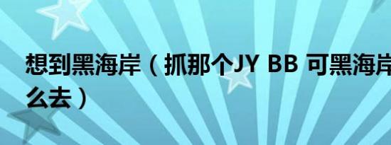 想到黑海岸（抓那个JY BB 可黑海岸在哪 怎么去）