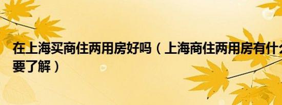 在上海买商住两用房好吗（上海商住两用房有什么优缺点需要了解）