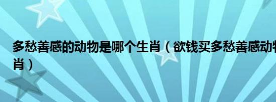 多愁善感的动物是哪个生肖（欲钱买多愁善感动物是什么生肖）