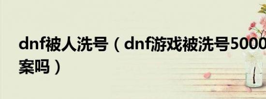 dnf被人洗号（dnf游戏被洗号5000r可以立案吗）