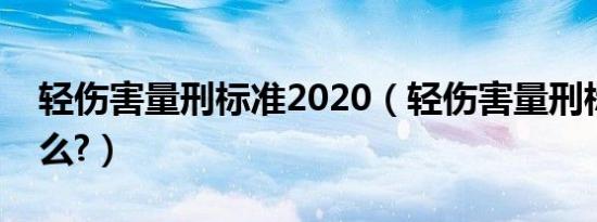 轻伤害量刑标准2020（轻伤害量刑标准是什么?）