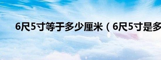 6尺5寸等于多少厘米（6尺5寸是多高）