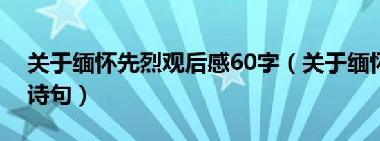 关于缅怀先烈观后感60字（关于缅怀先烈的诗句）