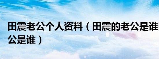 田震老公个人资料（田震的老公是谁田震的老公是谁）