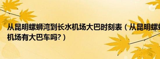 从昆明螺蛳湾到长水机场大巴时刻表（从昆明螺蛳湾到长水机场有大巴车吗?）