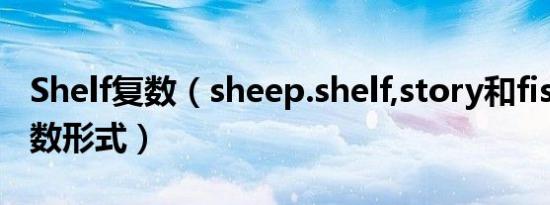 Shelf复数（sheep.shelf,story和fish的单复数形式）