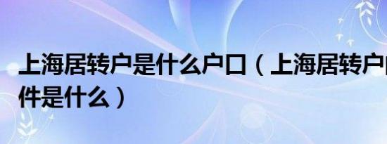 上海居转户是什么户口（上海居转户的基本条件是什么）