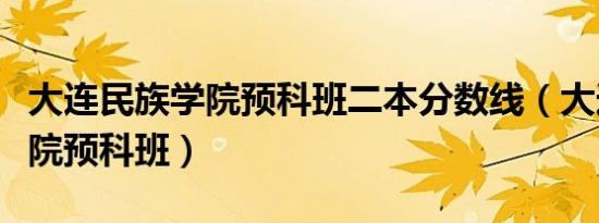 大连民族学院预科班二本分数线（大连民族学院预科班）