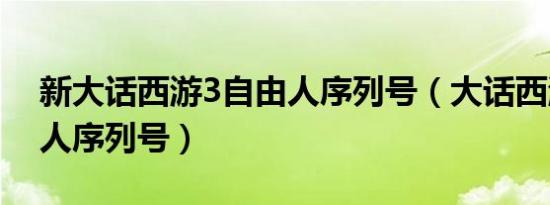 新大话西游3自由人序列号（大话西游3自由人序列号）