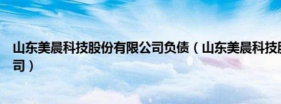 山东美晨科技股份有限公司负债（山东美晨科技股份有限公司）