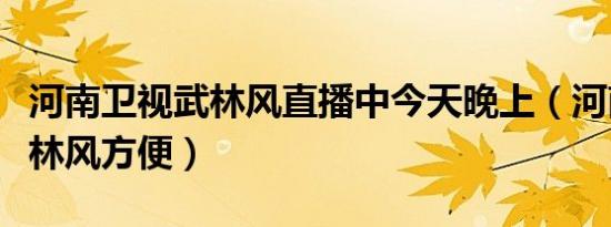 河南卫视武林风直播中今天晚上（河南卫视武林风方便）