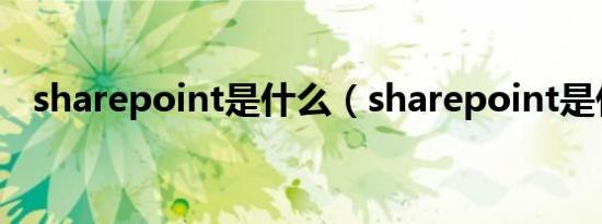 sharepoint是什么（sharepoint是什么）