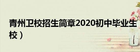 青州卫校招生简章2020初中毕业生（青州卫校）